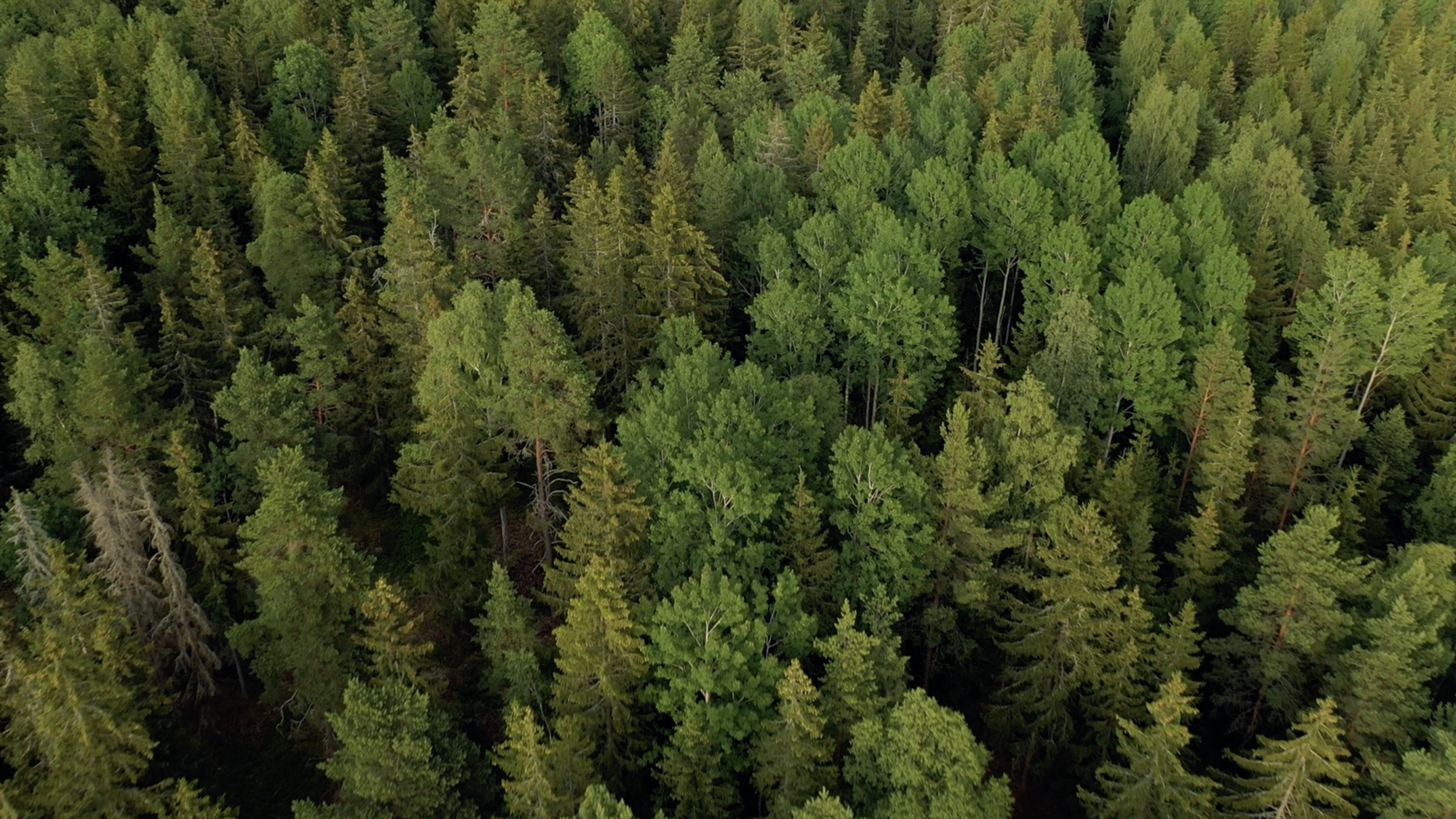 Entretien avec la réalisatrice